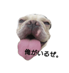 フレブルしじみ（個別スタンプ：6）