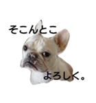 フレブルしじみ（個別スタンプ：7）