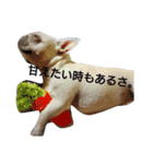 フレブルしじみ（個別スタンプ：15）