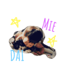 ユイララランダイ（個別スタンプ：9）