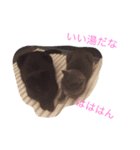 ユイララランダイ（個別スタンプ：12）