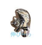 イケメンマークの楽しい1日（個別スタンプ：13）