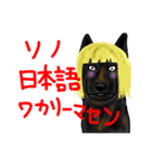 甲斐犬ぺろたん 2（個別スタンプ：2）