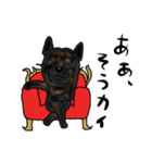 甲斐犬ぺろたん 2（個別スタンプ：13）