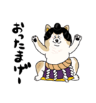 甲斐犬ぺろたん 2（個別スタンプ：19）