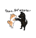 甲斐犬ぺろたん 2（個別スタンプ：20）