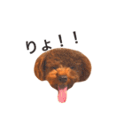 daisuki pal（個別スタンプ：5）