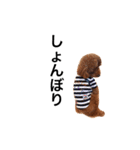 daisuki pal（個別スタンプ：16）