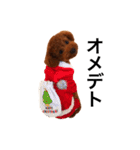 daisuki pal（個別スタンプ：36）
