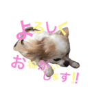 るーとてん♡（個別スタンプ：7）
