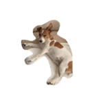 maria the Jack Russell（個別スタンプ：2）