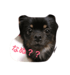 おはぎ☆（個別スタンプ：3）