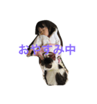 可愛い姫さん（個別スタンプ：11）