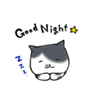 my sisters cat 1（個別スタンプ：2）