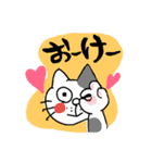 日常系のネコ（個別スタンプ：6）