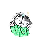 日常系のネコ（個別スタンプ：11）