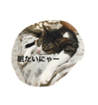 我が家のペット1（個別スタンプ：2）