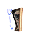 peco's  stamp（個別スタンプ：2）