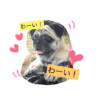 peco's  stamp（個別スタンプ：4）