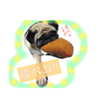 peco's  stamp（個別スタンプ：18）
