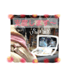 peco's  stamp（個別スタンプ：20）