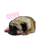 peco's  stamp（個別スタンプ：27）