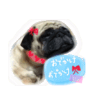 peco's  stamp（個別スタンプ：28）