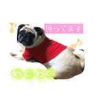 peco's  stamp（個別スタンプ：32）