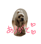 ダイナな毎日（個別スタンプ：3）
