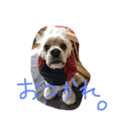 ダイナな毎日（個別スタンプ：4）
