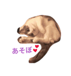 セナの日常（個別スタンプ：4）