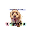 アクアぶちのスタンプ（個別スタンプ：2）