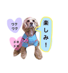 アクアぶちのスタンプ（個別スタンプ：8）