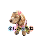 アクアぶちのスタンプ（個別スタンプ：9）