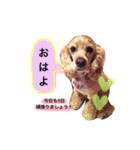 アクアぶちのスタンプ（個別スタンプ：10）