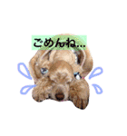 アクアぶちのスタンプ（個別スタンプ：16）