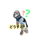 アクアぶちのスタンプ（個別スタンプ：22）