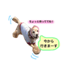 アクアぶちのスタンプ（個別スタンプ：23）