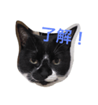 渡辺家の人々（個別スタンプ：2）