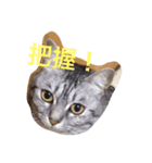 渡辺家の人々（個別スタンプ：4）