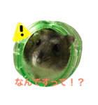 ハムスターの1日（個別スタンプ：13）