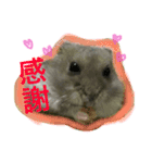 ハムスターの1日（個別スタンプ：14）