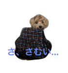 miitan stamp（個別スタンプ：7）