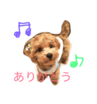 miitan stamp（個別スタンプ：10）