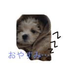 miitan stamp（個別スタンプ：14）