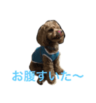 miitan stamp（個別スタンプ：16）