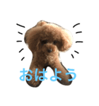 高橋モカ（個別スタンプ：1）