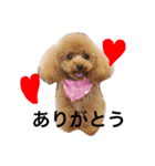 高橋モカ（個別スタンプ：3）