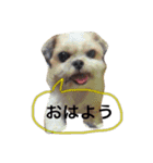 みんな大好きしずちゃん（個別スタンプ：1）