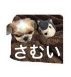 みんな大好きしずちゃん（個別スタンプ：5）